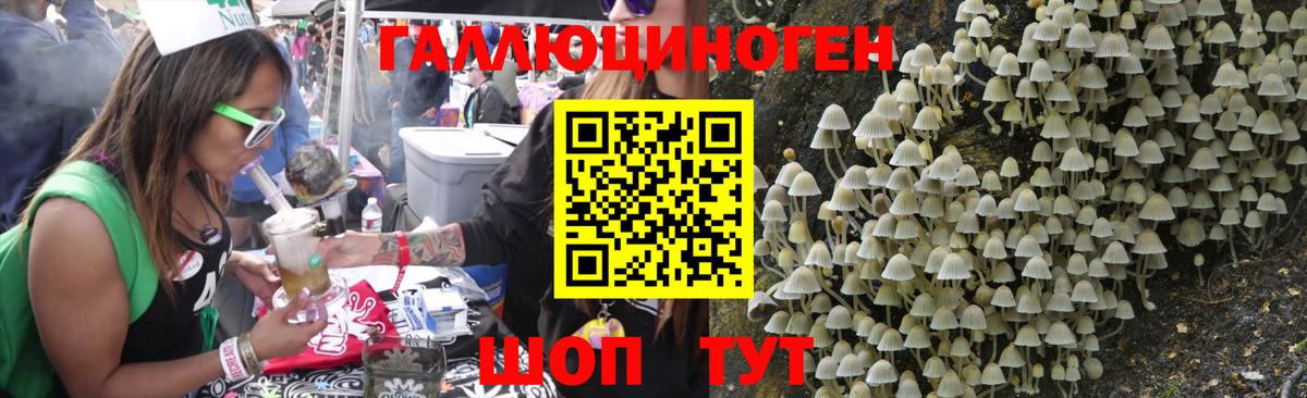 Кропоткин  Галлюциногенные грибы MAGIC MUSHROOMS  Вход с VPN 